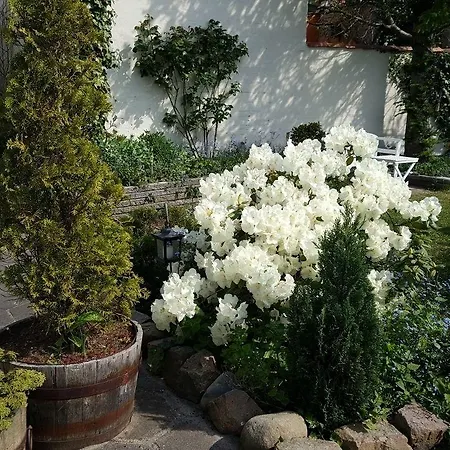 Hotel Sverres